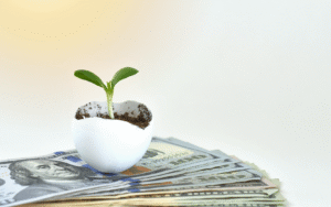 לבד או עם מומחה? היתרונות של ליווי משקיעים מקצועי ברכישת נדל"ן